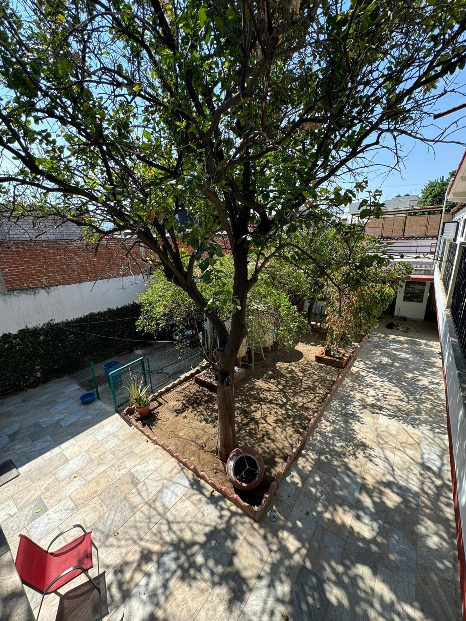 Oaxaca The Florenthina'S House מראה חיצוני תמונה